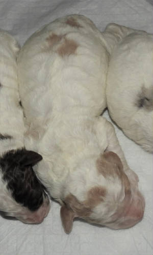 webassets/DSCN30193.JPG